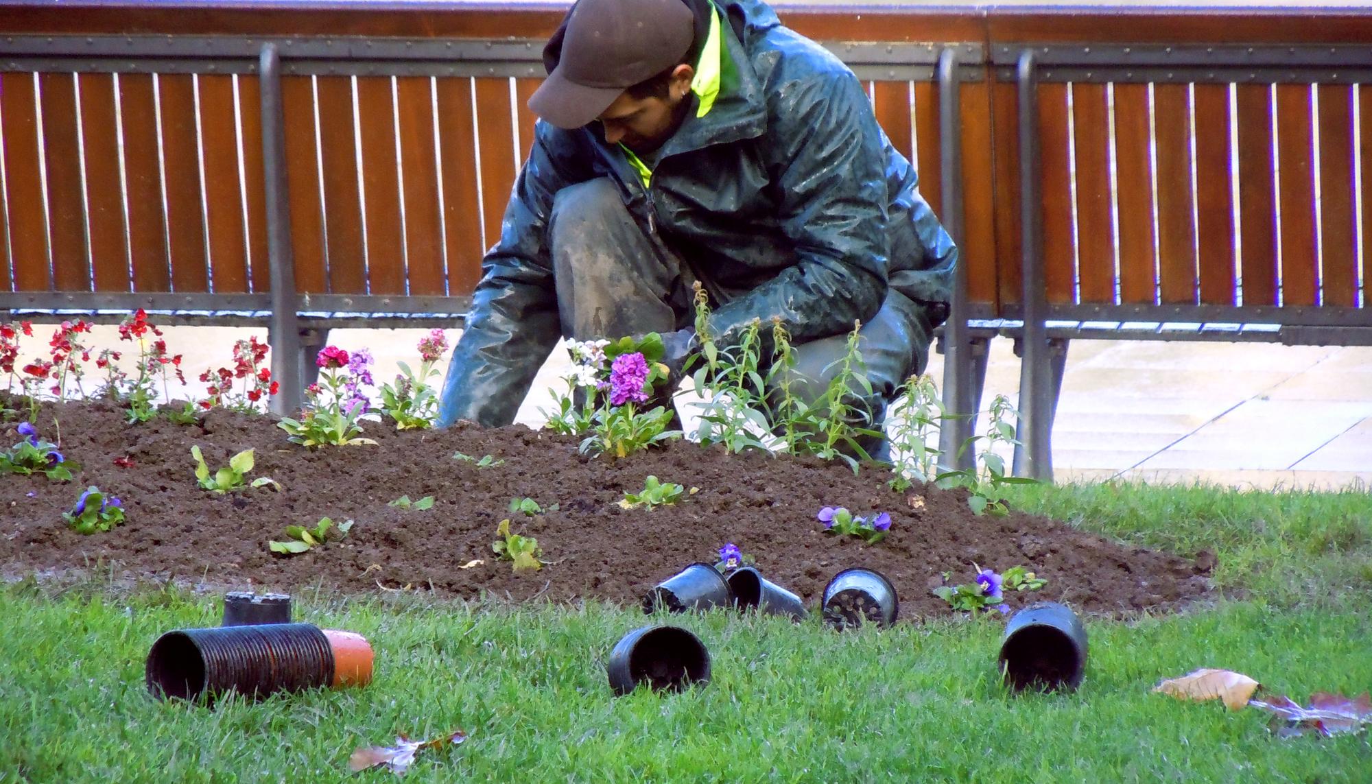 Jardinero